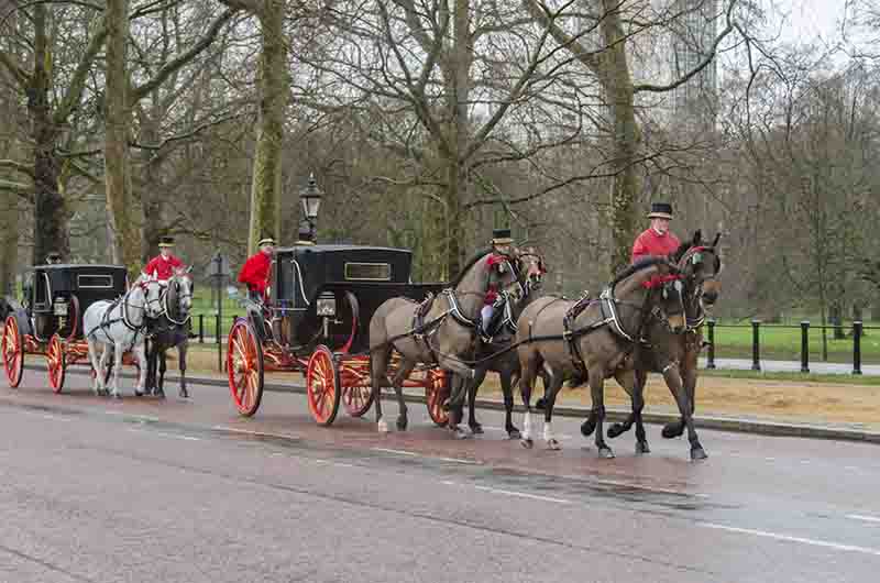 35 - Inglaterra - Londres - palacio de Buckingham - carrozas